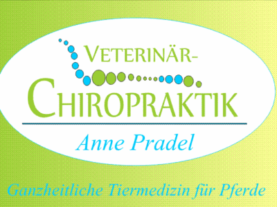Veterinär-Chiropraktik Anne Pradel _ Ganzheitliche Tiermedizin für Pferde