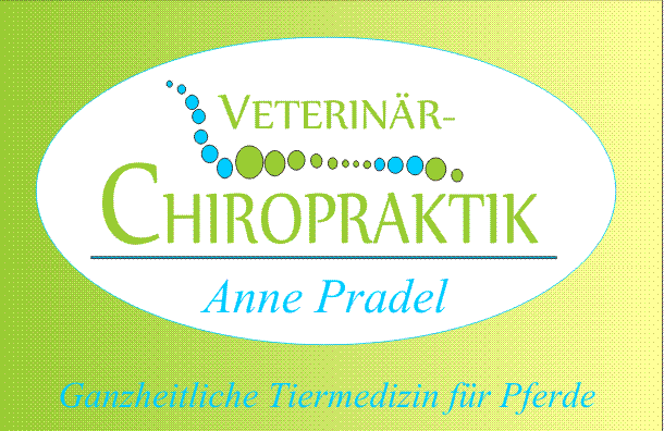 Veterinär-Chiropraktik Anne Pradel _ Ganzheitliche Tiermedizin für Pferde
